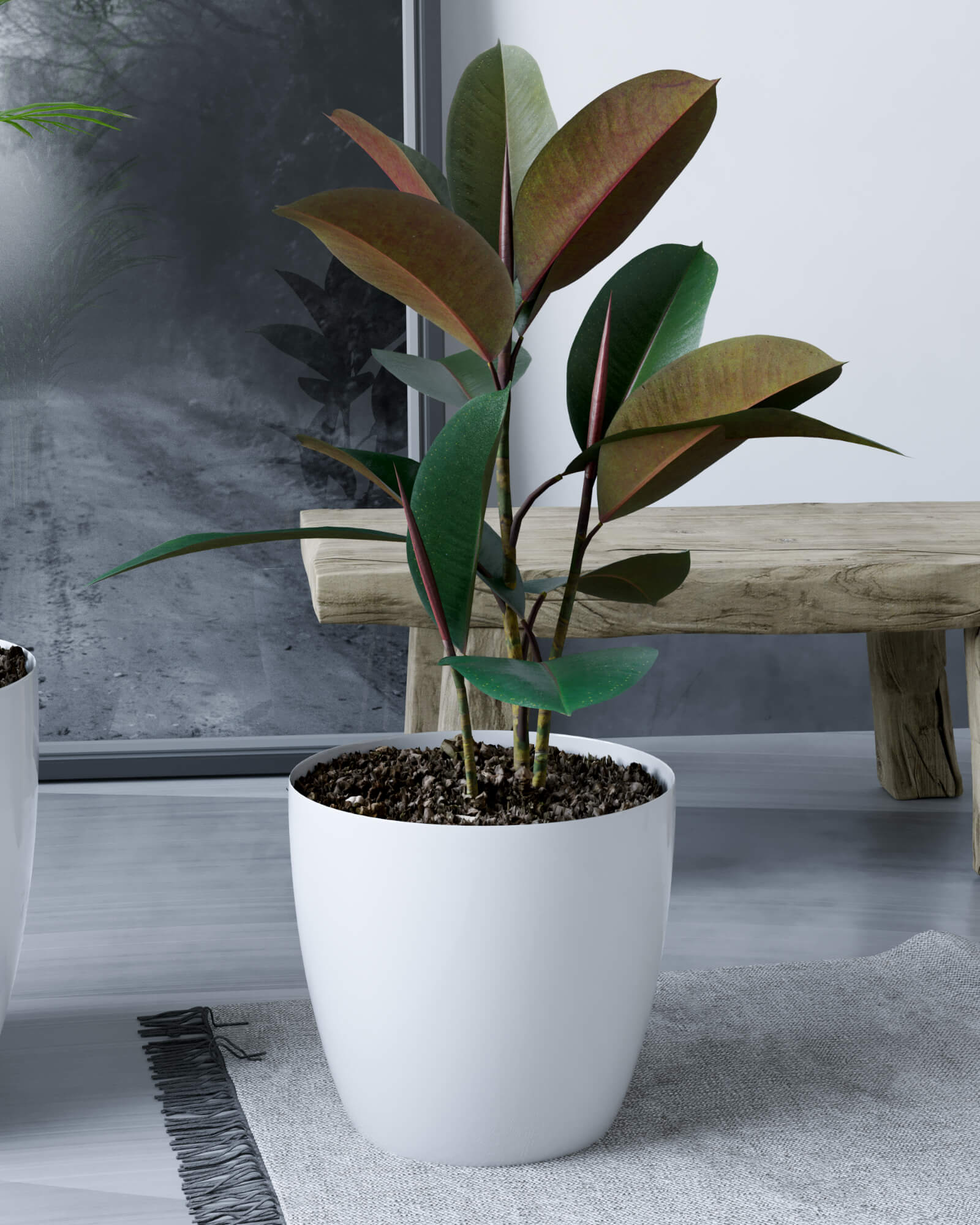 MACETA DE PLASTICO IDEAL SUCULENTAS PREMIUM 18 COLOR BLANCO 1