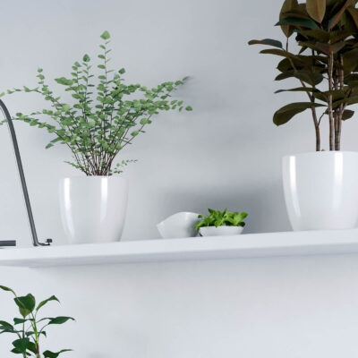 Pack x2 Maceteros Premium N18 De 3 Litros