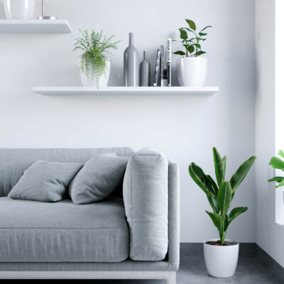 Pack x2 Maceteros Premium N22 De 5,3 Litros